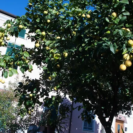 Cielo&terra2 아파트 레반토