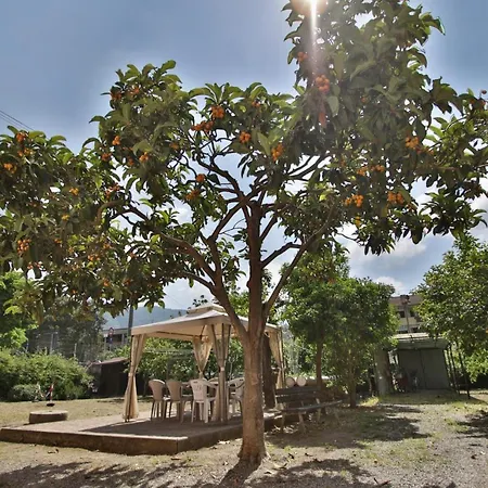 Cielo&terra2 * 莱万托